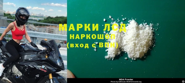 сатива Алзамай