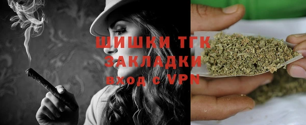 сатива Алзамай