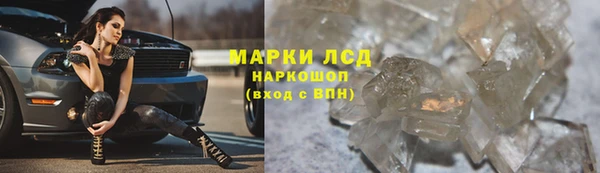 сатива Алзамай