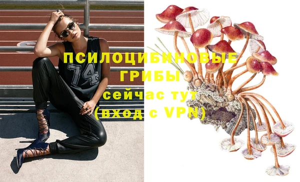 mdpv Алексин