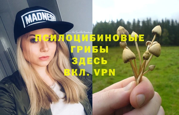 mdpv Алексин