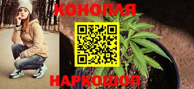 стаф Рязань