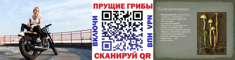 Галлюциногенные грибы прущие грибы  как найти закладки  Ревда 