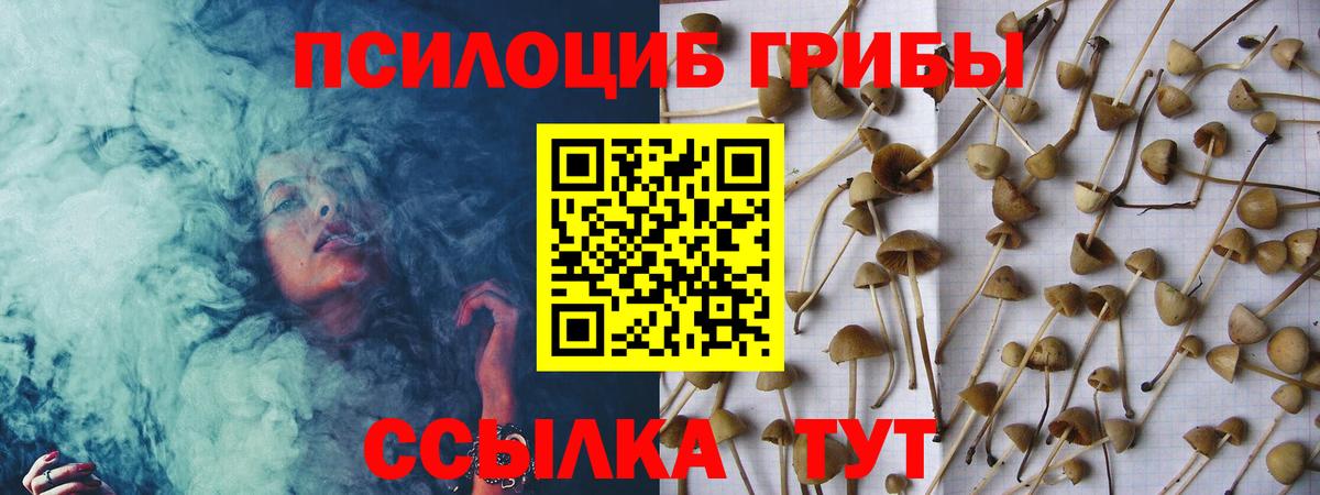 Псилоцибиновые грибы Psilocybine cubensis Ревда